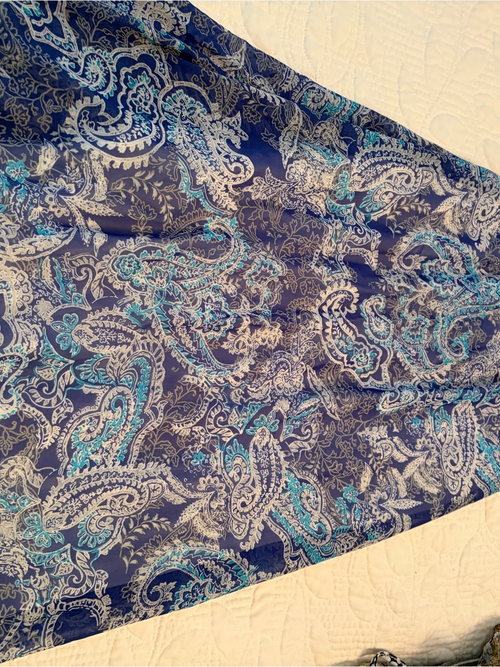 Womans Blue Paisley Dress